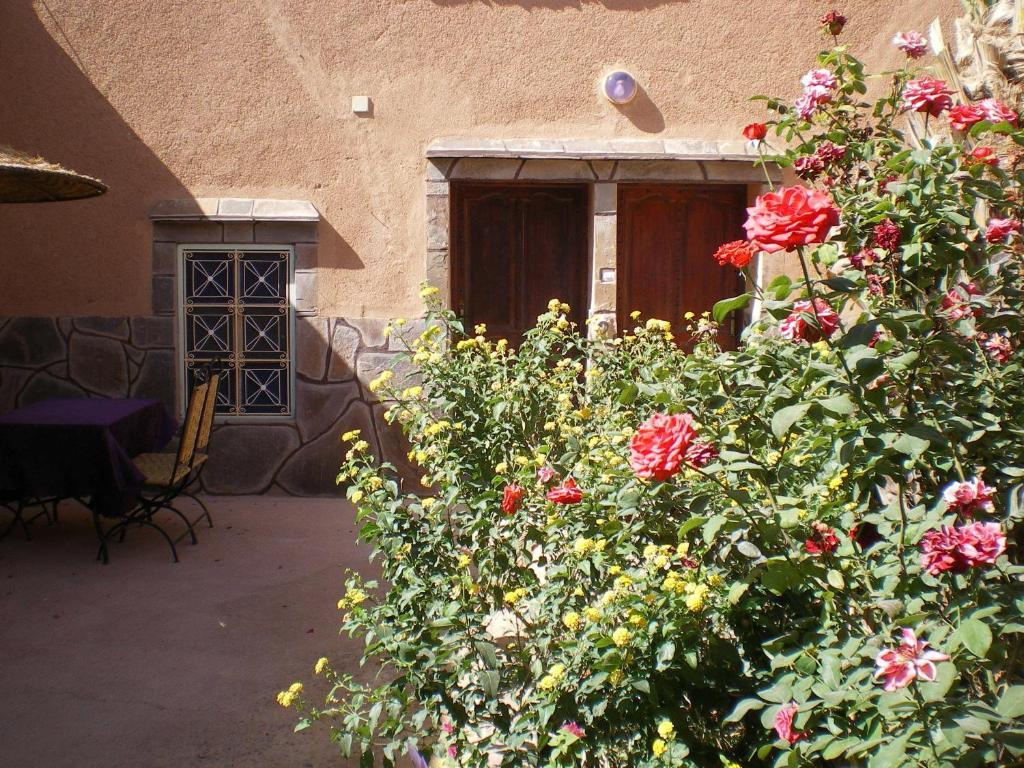 Maison D' Hotes Ait Hmid Nkob 외부 사진
