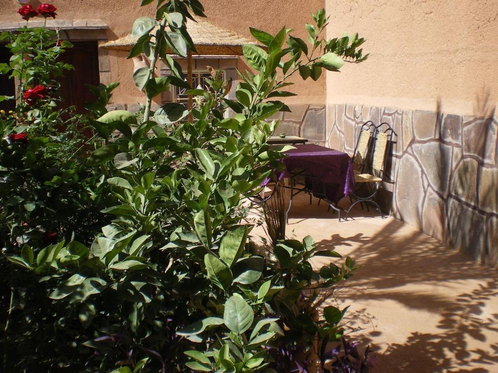 Maison D' Hotes Ait Hmid Nkob 외부 사진
