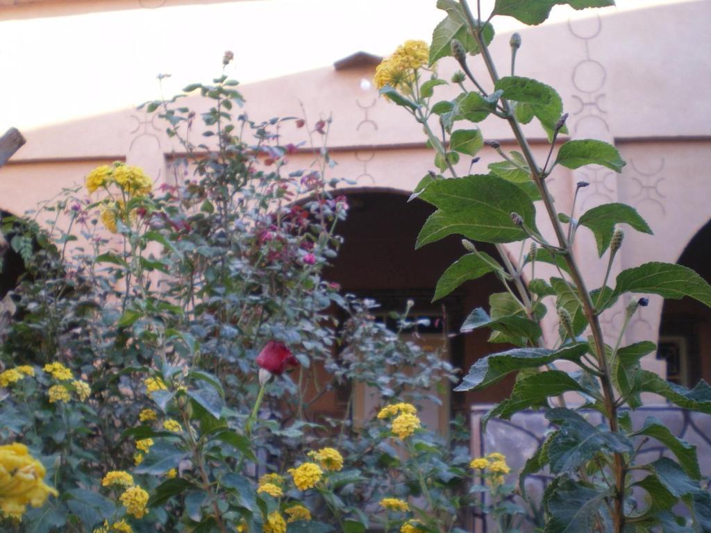 Maison D' Hotes Ait Hmid Nkob 외부 사진